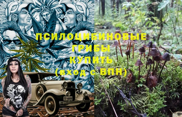 ешки Лагань