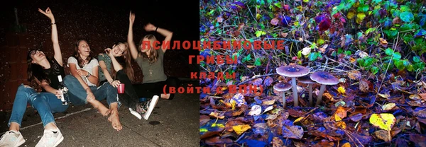 не бодяженный Кукмор