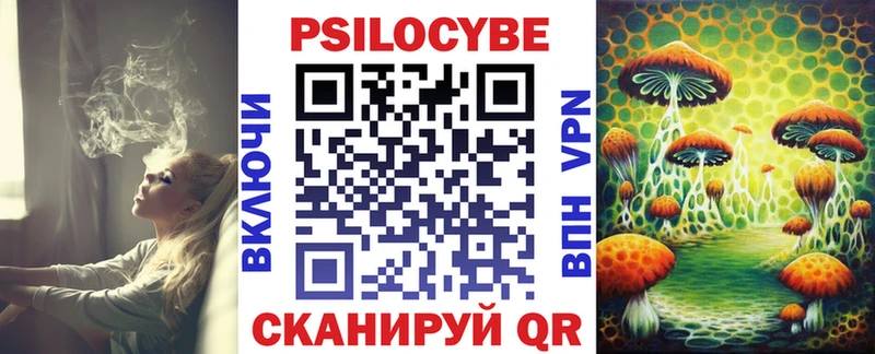 Купить  Гулькевичи  Галлюциногенные грибы Psilocybe 